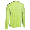 Воротарська футболка SELECT Spain v25 goalkeeper shirt Green- Black